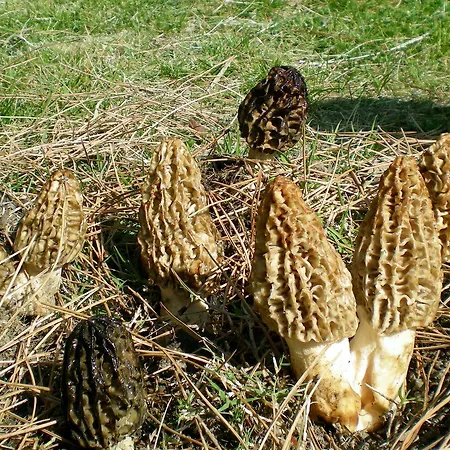 Hotel Alila Koycegiz (Mugla)