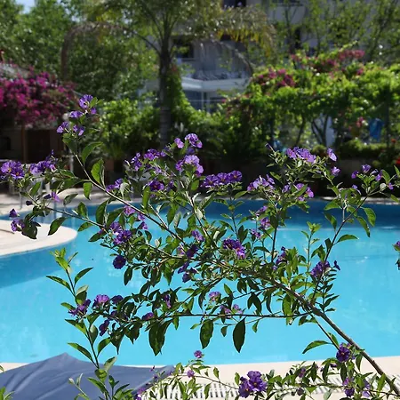 Otel Alila