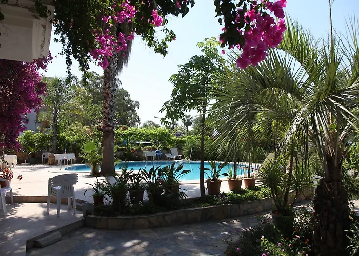 Alila *