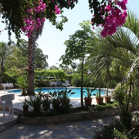 Alila *