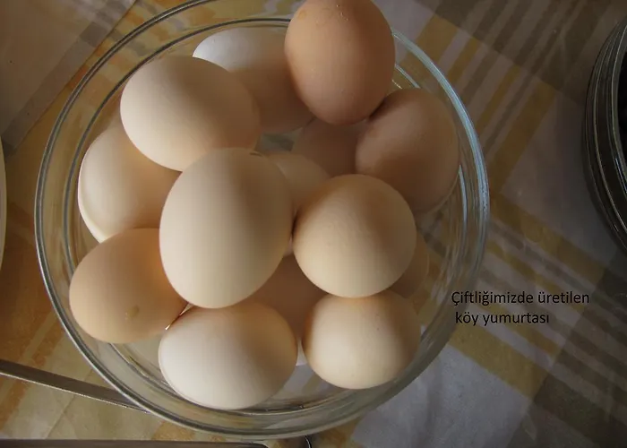 Alila Hotell Koycegiz (Mugla)